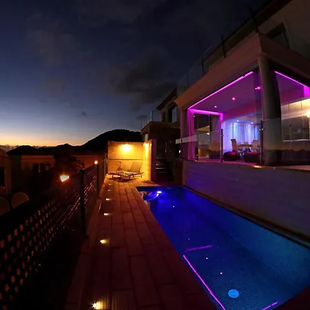 Nela Villa *